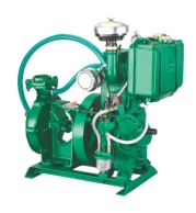 6.5 HP Water Cooled Engine (Colt 6.5W) – High Performance Colt Water Cooled Diesel for Irrigation, Agriculture & Industry, Heavy Duty Strength, Low Noise, Optimal Efficiency, Trusted Power Source